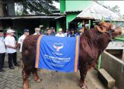 Pemkot Tangsel Perketat Pengawasan Jelang Iduladha