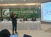 Tahun 2024, Laba PT Gozco Plantations, Tbk Meningkat 2515,67 Persen