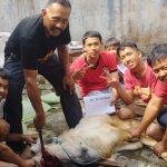 Panti Abu Muhammadiyah Hurairah Qurban 6 Ekor Kambing