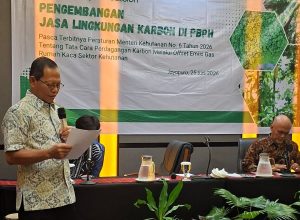 Gandeng Fairatmos, APHI Siapkan Pengusaha Kehutanan Papua Masuk Pasar Karbon Global